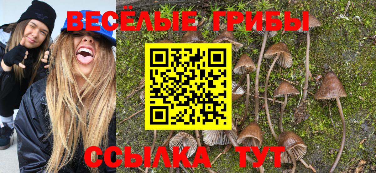 Метадон  NBOMe  Кимовск  Вход с VPN  Конопля  ГАШ  COCAIN  Меф  