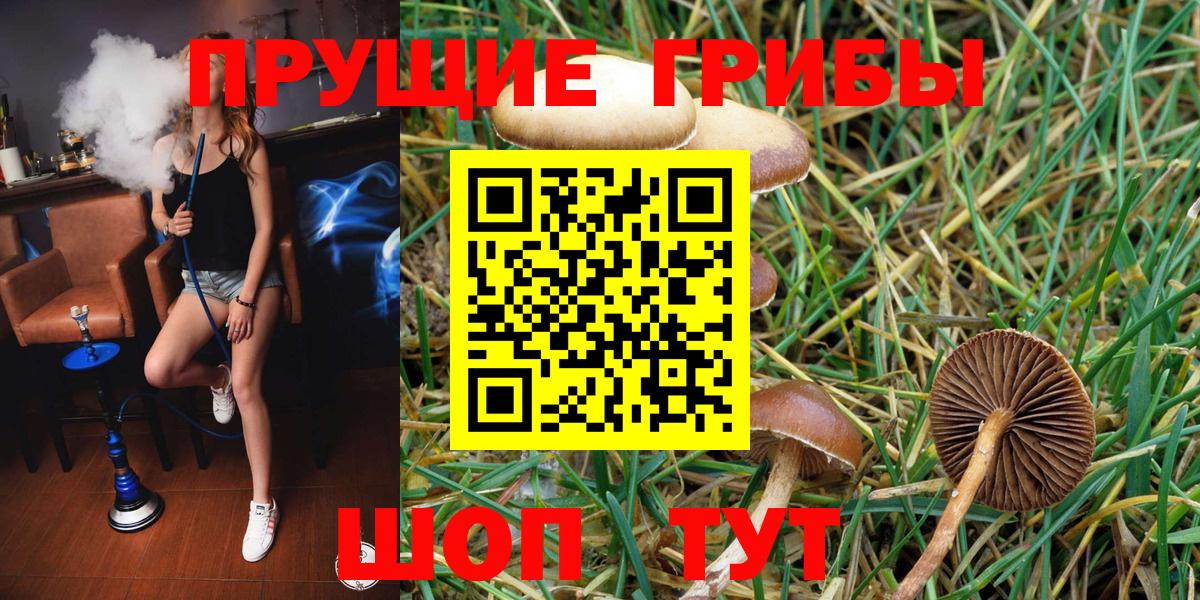 Галлюциногенные грибы Magic Shrooms Кимовск
