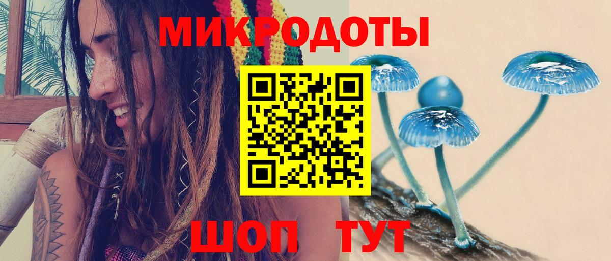 Кимовск  Галлюциногенные грибы Psilocybine cubensis  Псилоцибиновые грибы MAGIC MUSHROOMS  Вход с VPN 